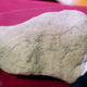 The limestone rock with an overlay showing the scene in detail.